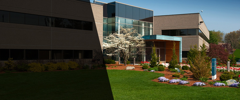 Alexandria Landscapers