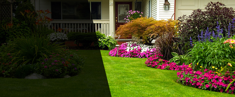 Alexandria Landscapers